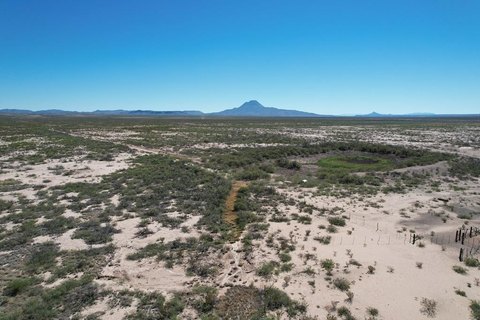 80 Acres Near Elephant Mountain