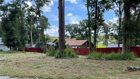 Cleared Land in Mount Plymouth
