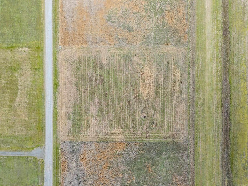 Picture 14