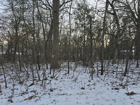 Land, Gun Barrel City, TX