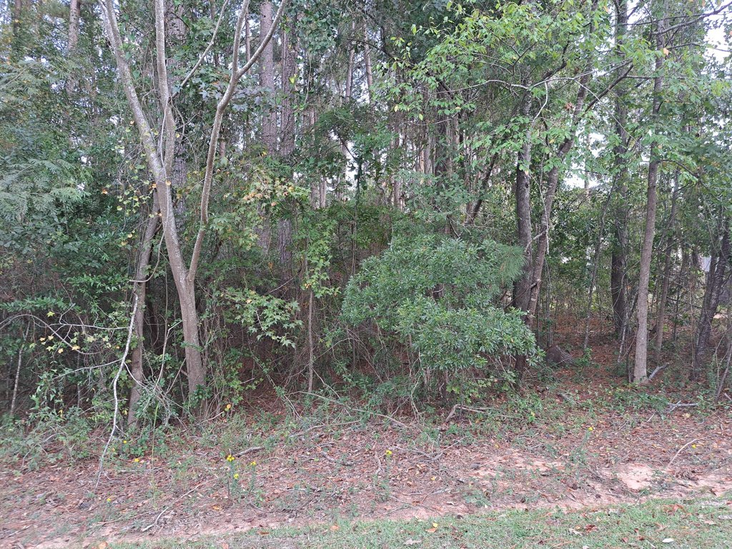 Picture 3