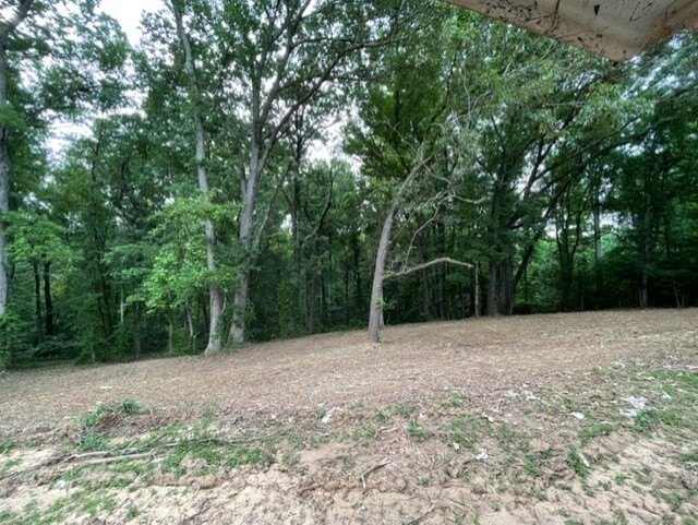Picture 15