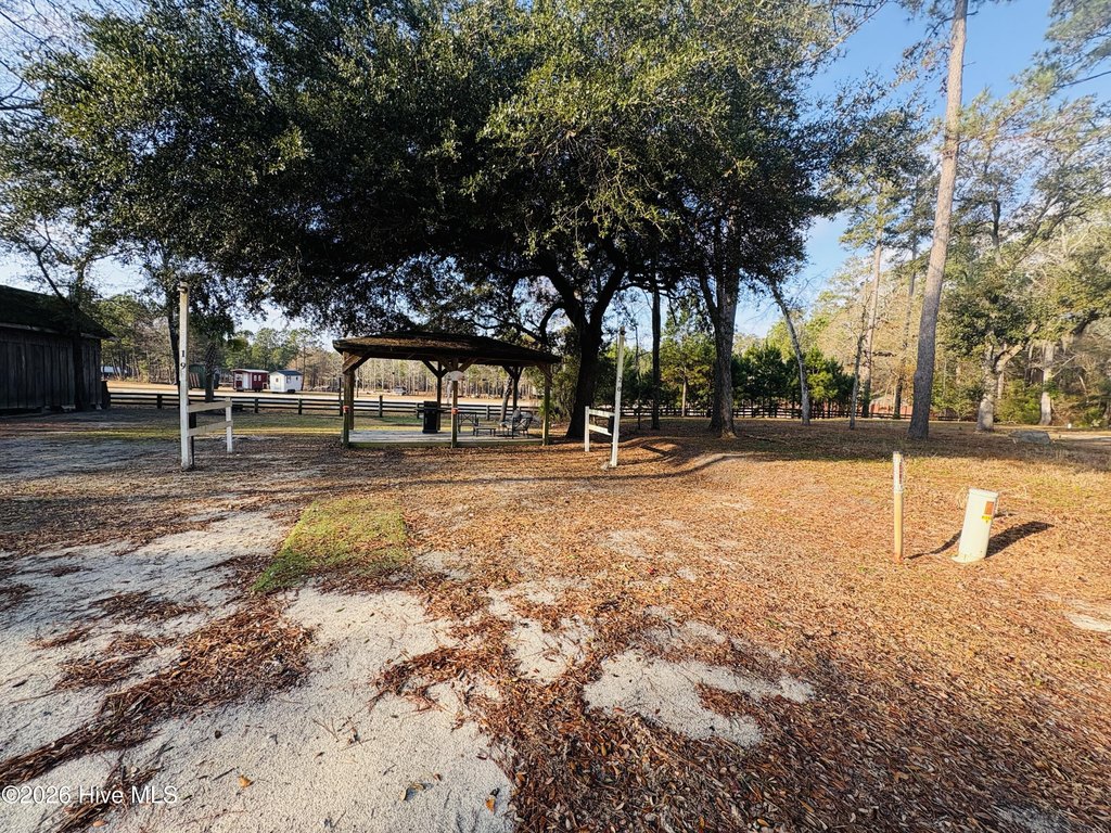 Picture 18
