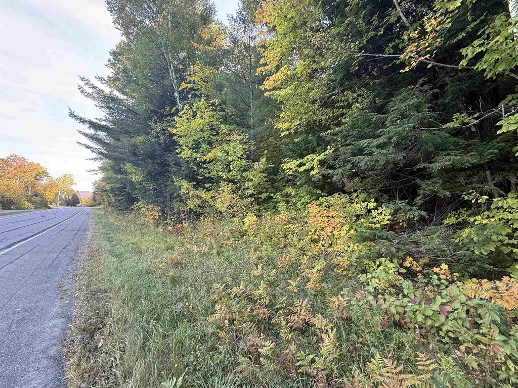 Picture 30