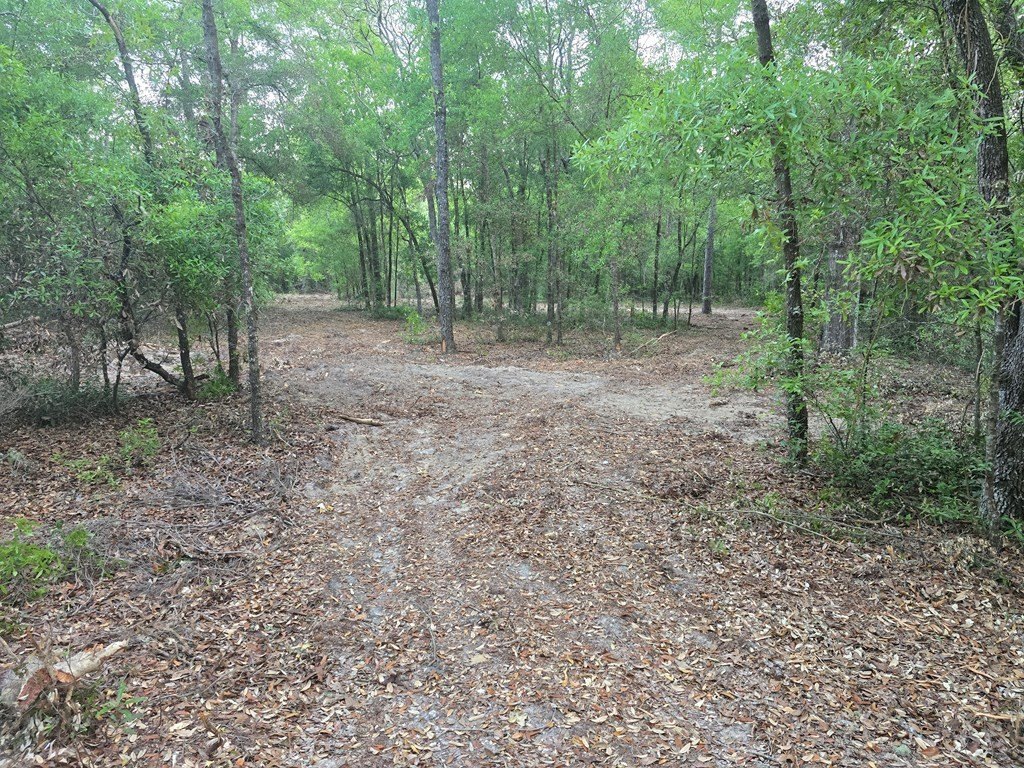 Picture 5