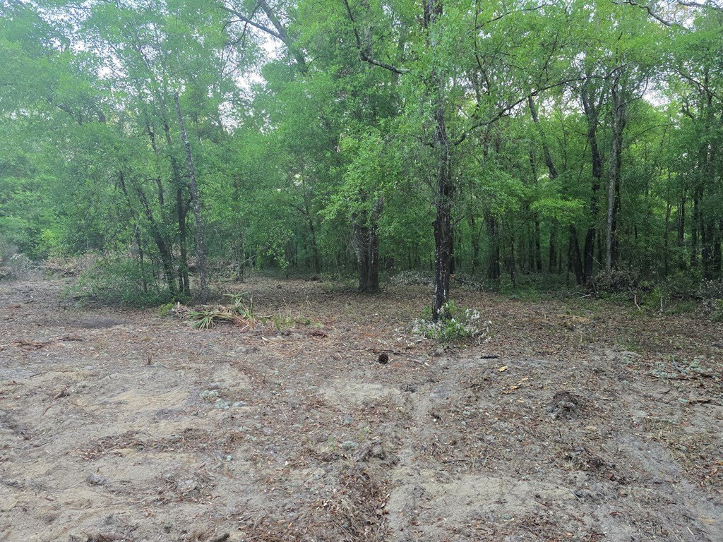 Picture 3