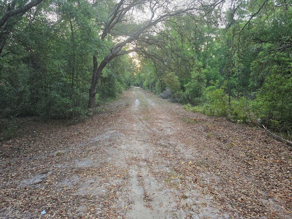 Picture 6
