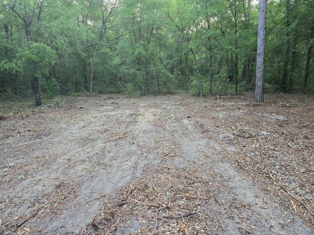 Picture 4