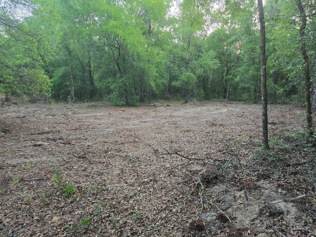Picture 2