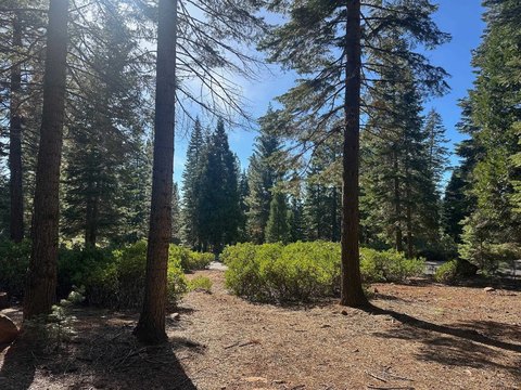 Lake Almanor Residential Lot