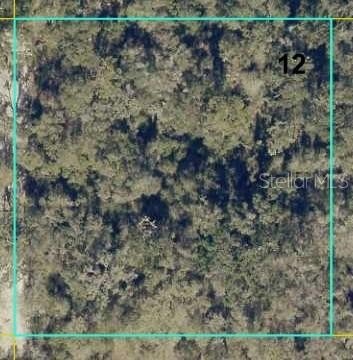 2.5 Acre Residential Vacant Lot
