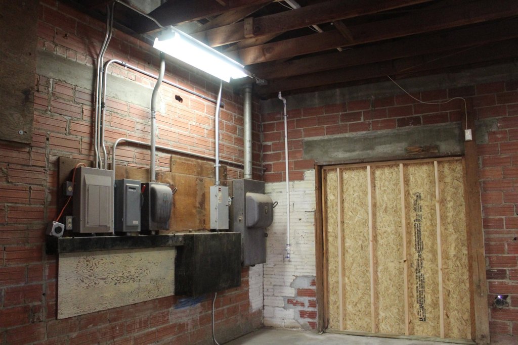 Picture 31