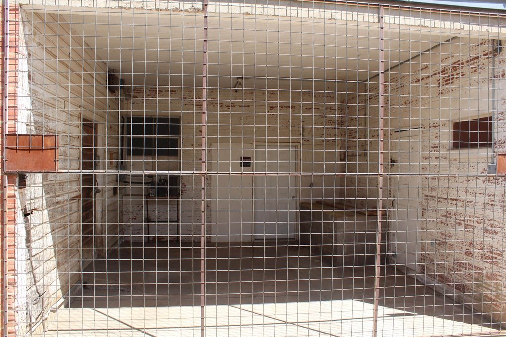 Picture 5