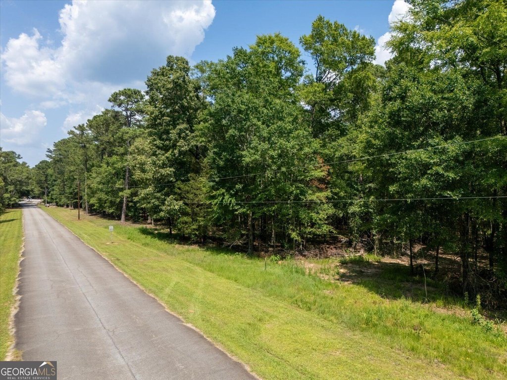 Picture 9
