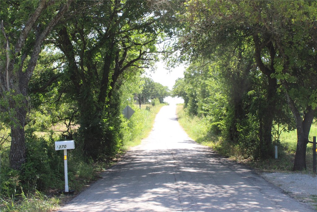 Picture 11