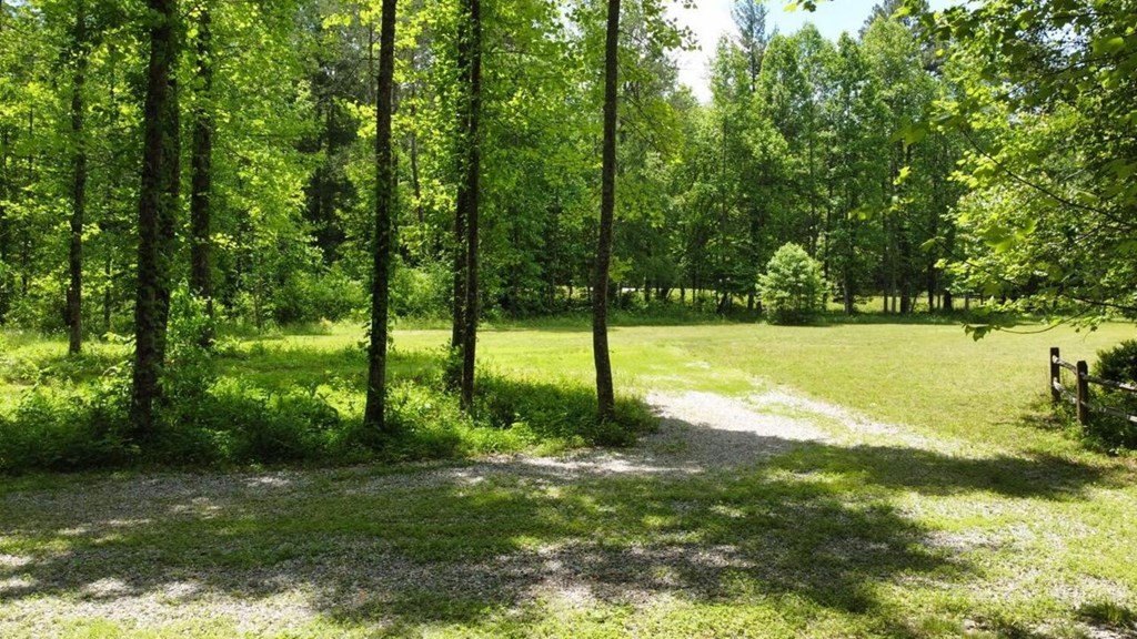 Picture 16