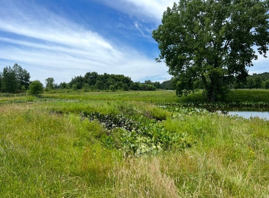 Picture 36
