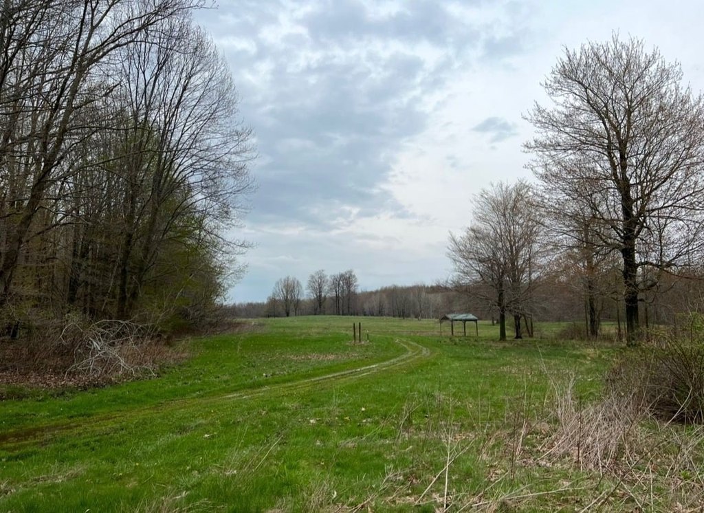 Picture 21