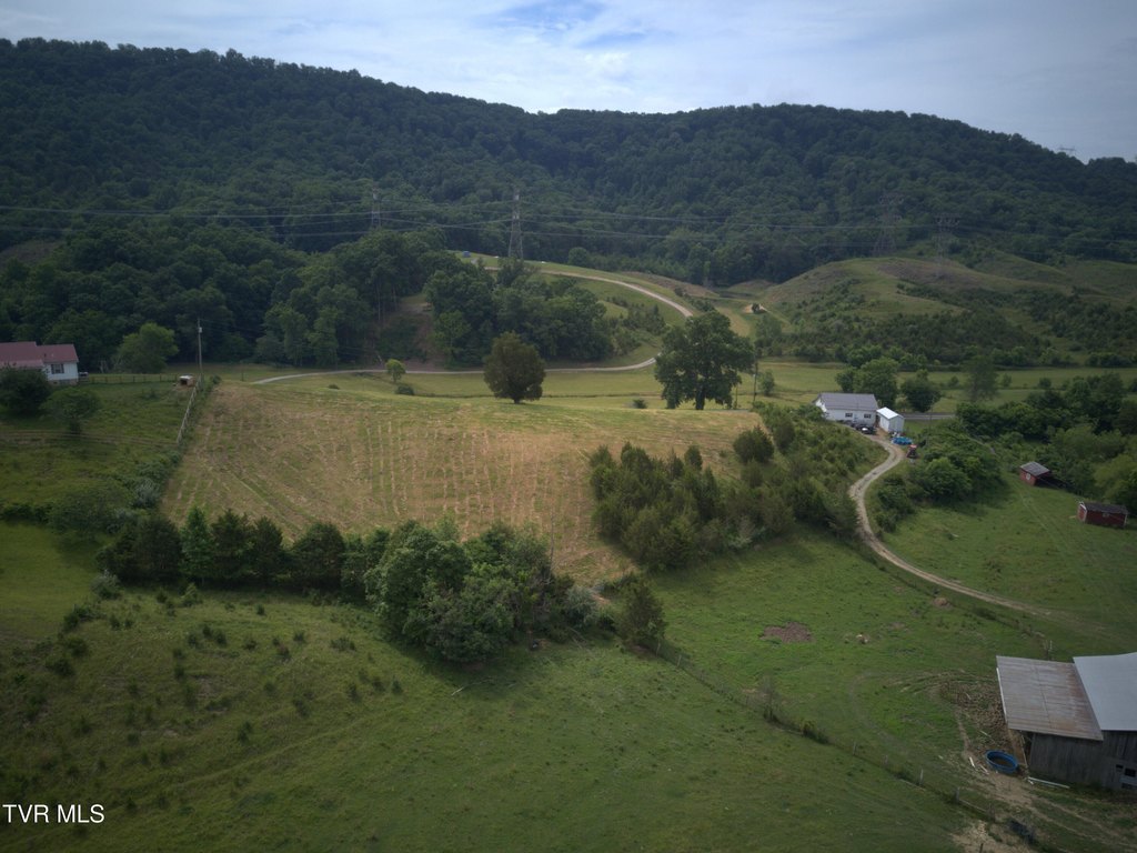 Picture 12