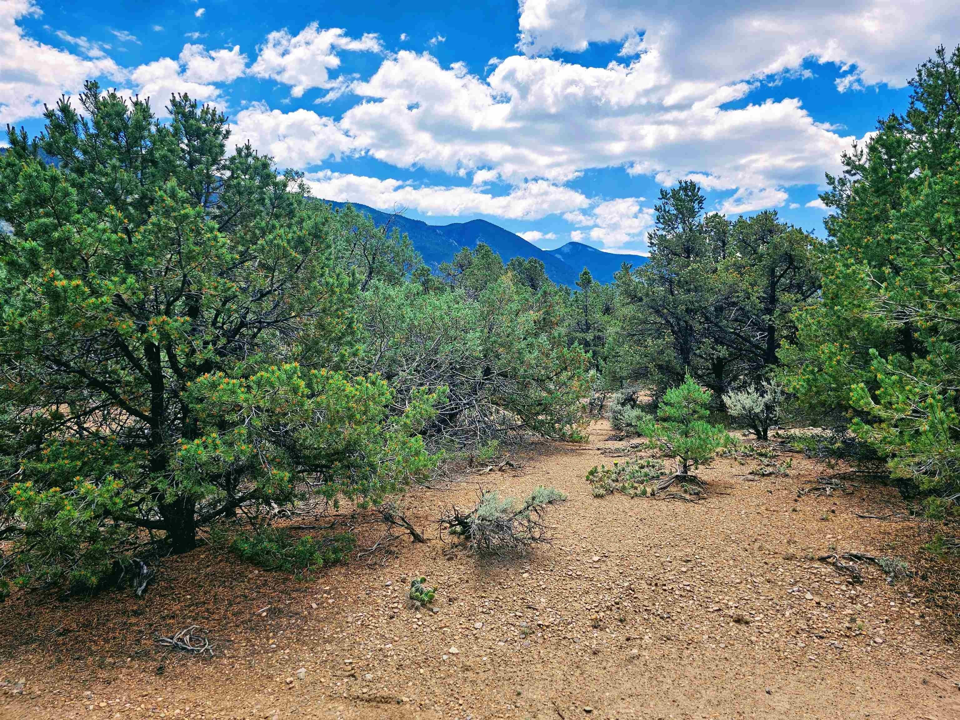 Questa, NM Land with Utilities