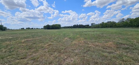 Land, Abbott, TX