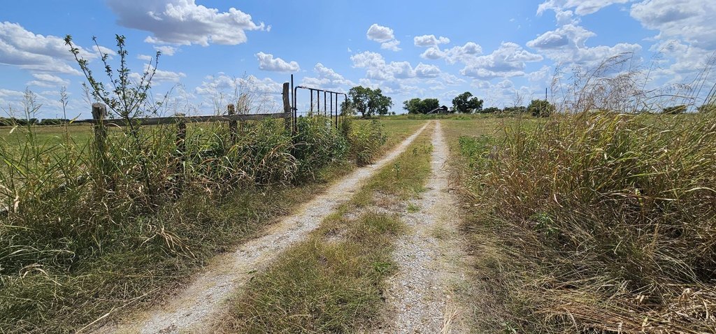 Picture 15