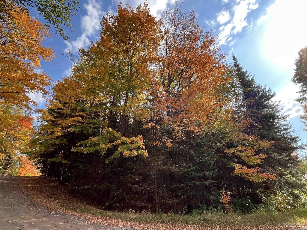Picture 20