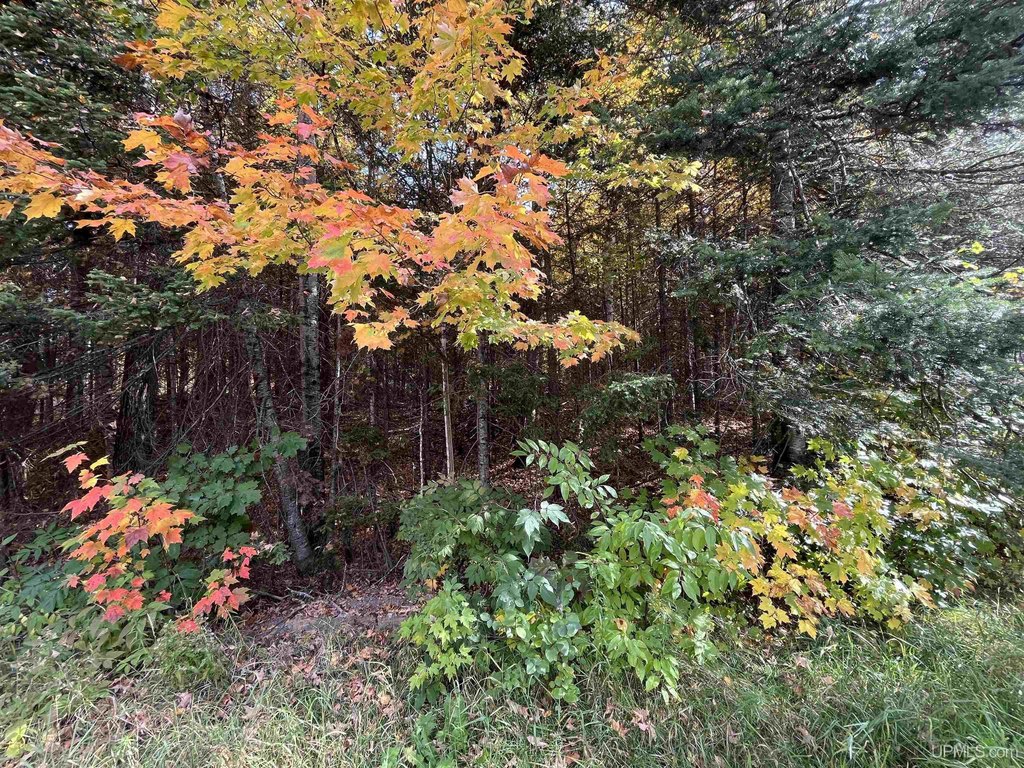 Picture 18