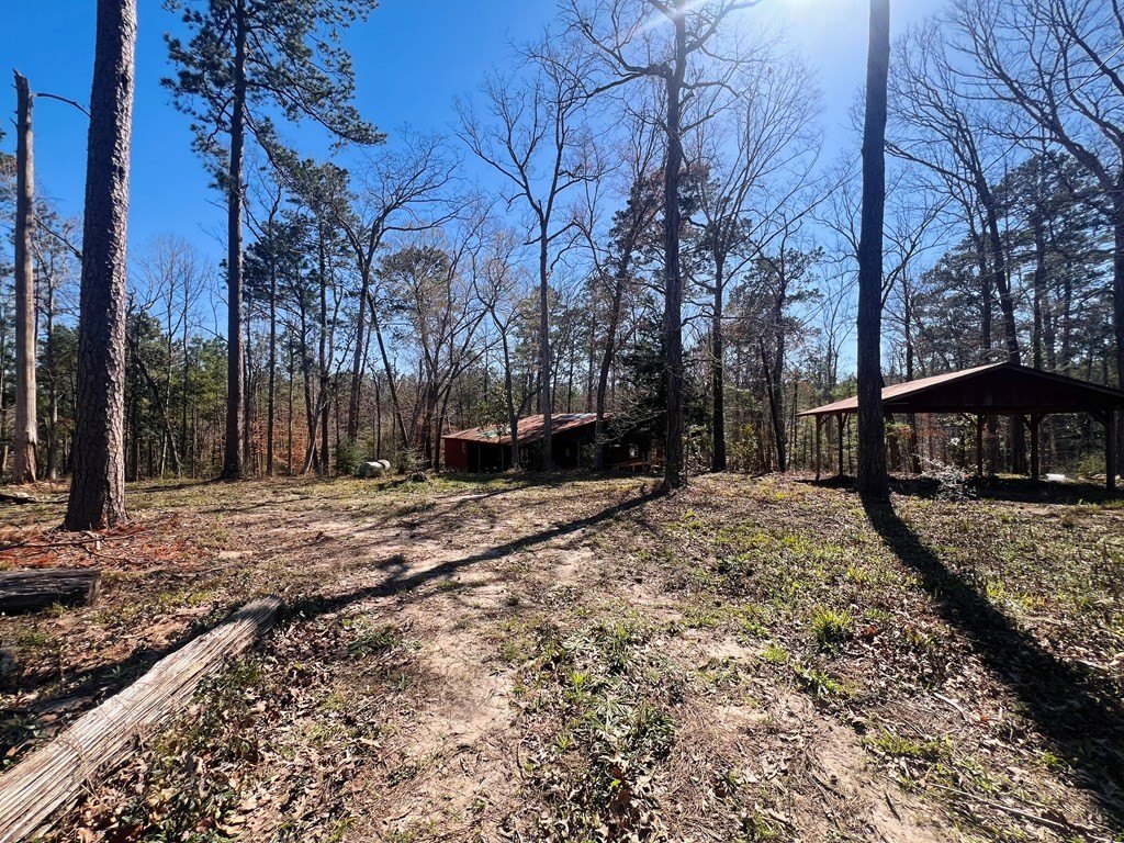 Picture 25