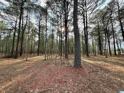 Land in Sylacauga, Alabama