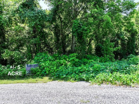 Sevierville Land with Creek