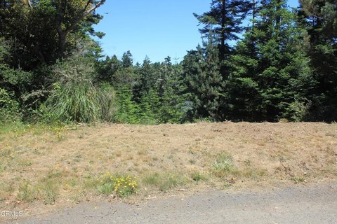 Residential Buildable Lot