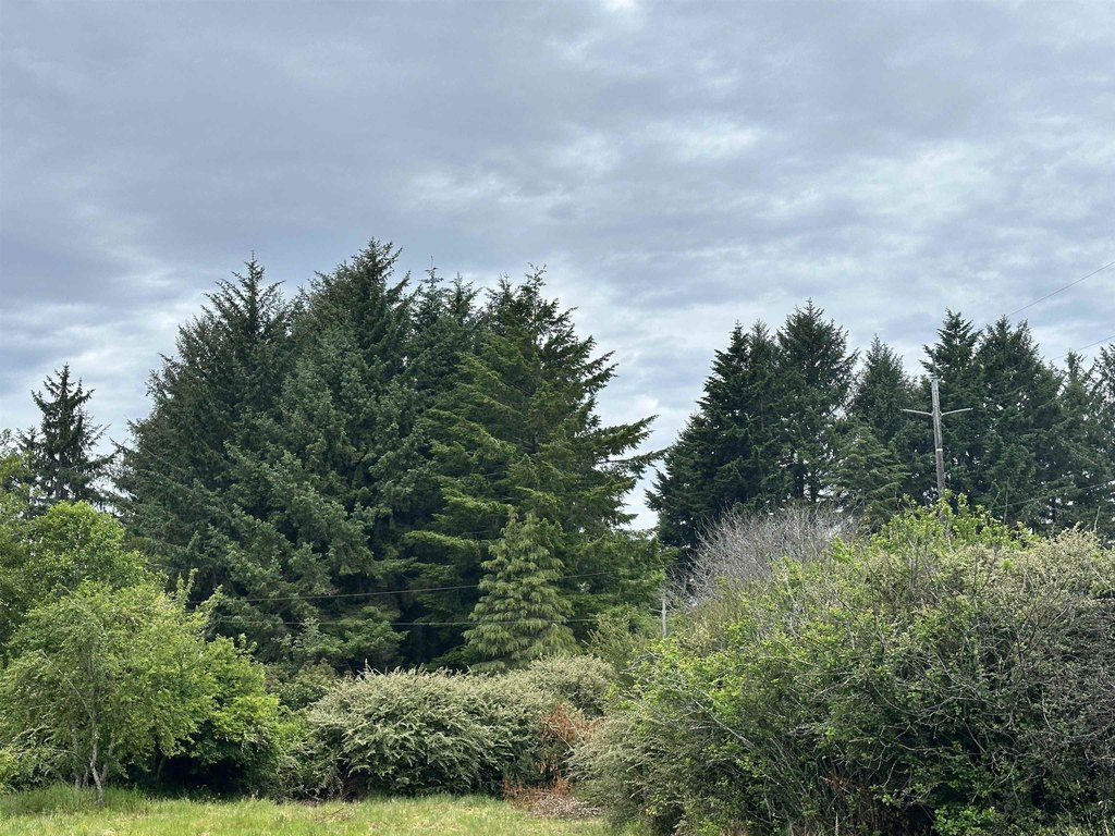 Picture 4