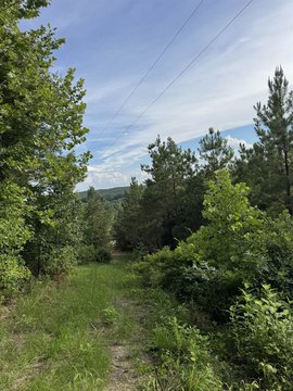 LAND - Vina, AL
