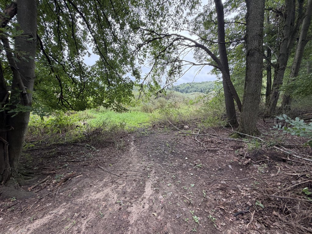 Picture 16