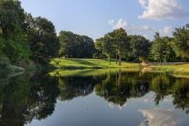 Treed Home-Building Lot