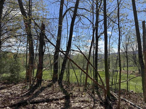 Land, Braintree, VT