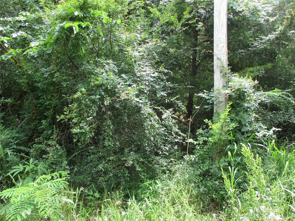 Picture 6