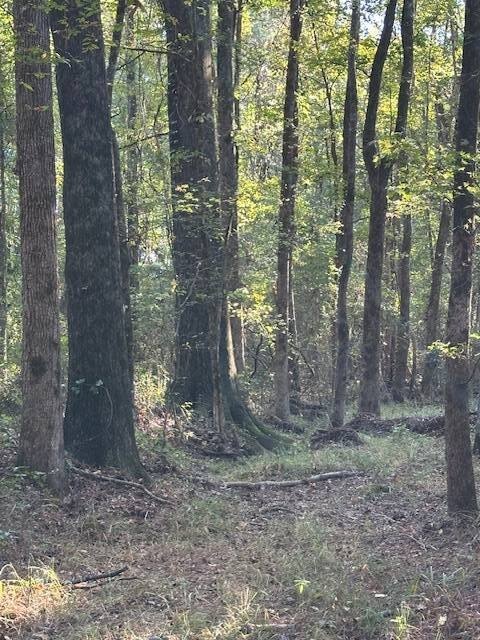 Picture 25