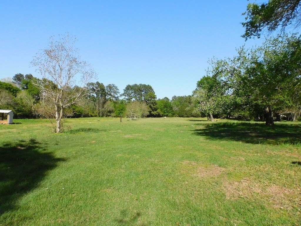 Picture 6