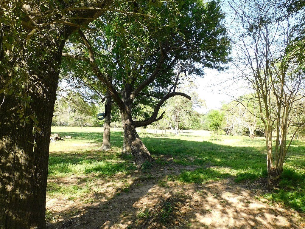 Picture 7