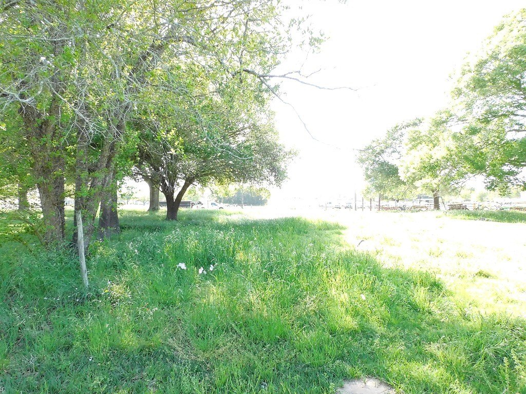 Picture 5