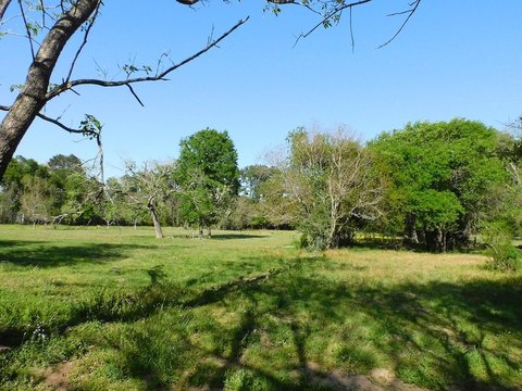 Commercial Land with Highway Frontage