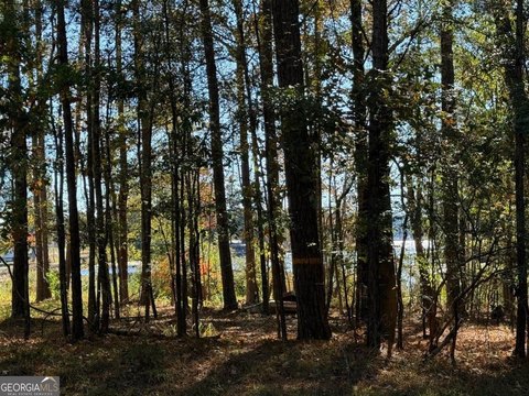 Lake View Lot in Eatonton