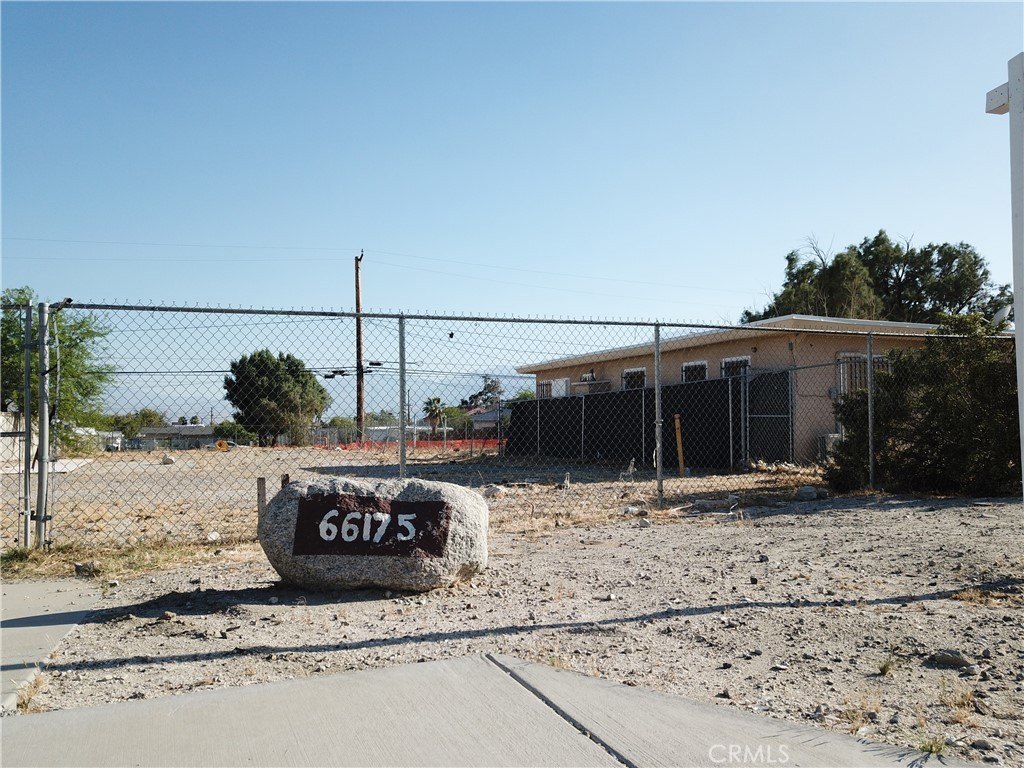 Picture 8