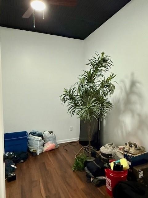 Picture 26