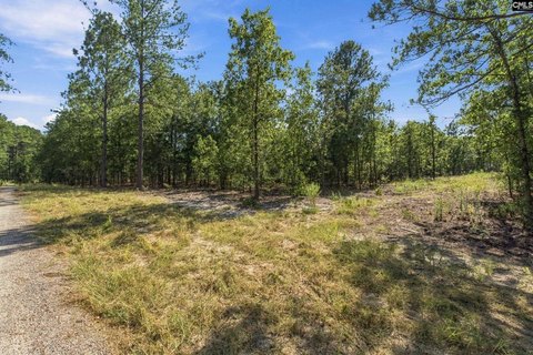 LOTS AND ACREAGE, Camden, SC