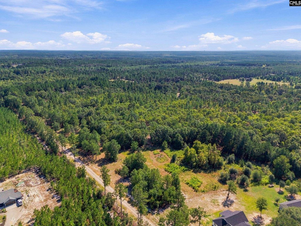 Picture 15