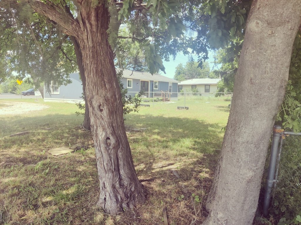 Picture 23