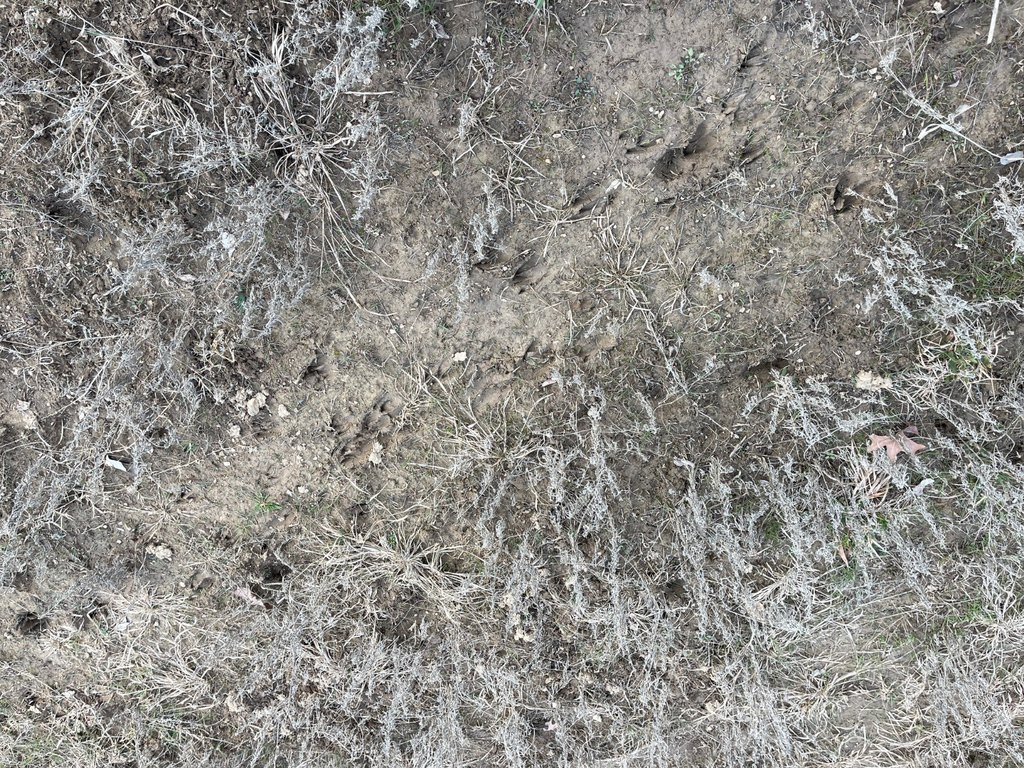 Picture 51